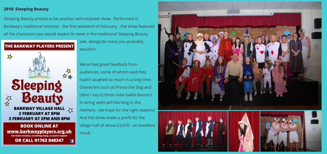 2018: Sleeping Beauty Sleeping Beauty proved to be another well-received show.  Performed in Barkway’s traditional timeslot - the first weekend of February - the show featured all the characters you would expect to meet in the traditional Sleeping Beauty tale, alongside many you probably wouldn’t.    We’ve had great feedback from audiences, some of whom said they hadn’t laughed so much in a long time.  Characters such as Prince the Dog and (dare I say it) three male ballet dancers in string vests will live long in the memory - we hope for the right reasons!  And the show made a profit for the village hall of about £2,670 - an excellent result.
